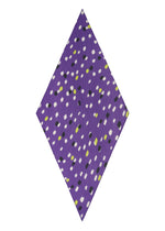 TIME DOTS PLEATS STOLE、アクセサリー&その他_ストール、ディテール画像2