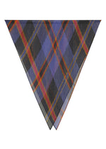 TARTAN CHECK PLEATS STOLE、アクセサリー&その他_ストール、パープル