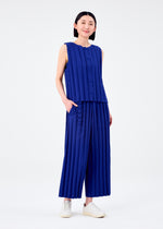 RIPPLE PLEATS、ウィメンズ_パンツ、着用画像1