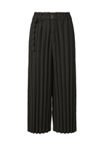 RIPPLE PLEATS、ウィメンズ_パンツ、ブラック