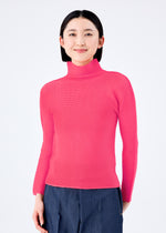 PALETTE 13、ウィメンズ_トップス_トップ、着用画像1