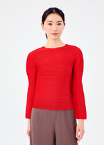 STRETCH PLEATS 5、ウィメンズ_トップス_トップ、着用画像1