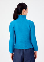 STRETCH PLEATS 6、ウィメンズ_トップス_トップ、着用画像2