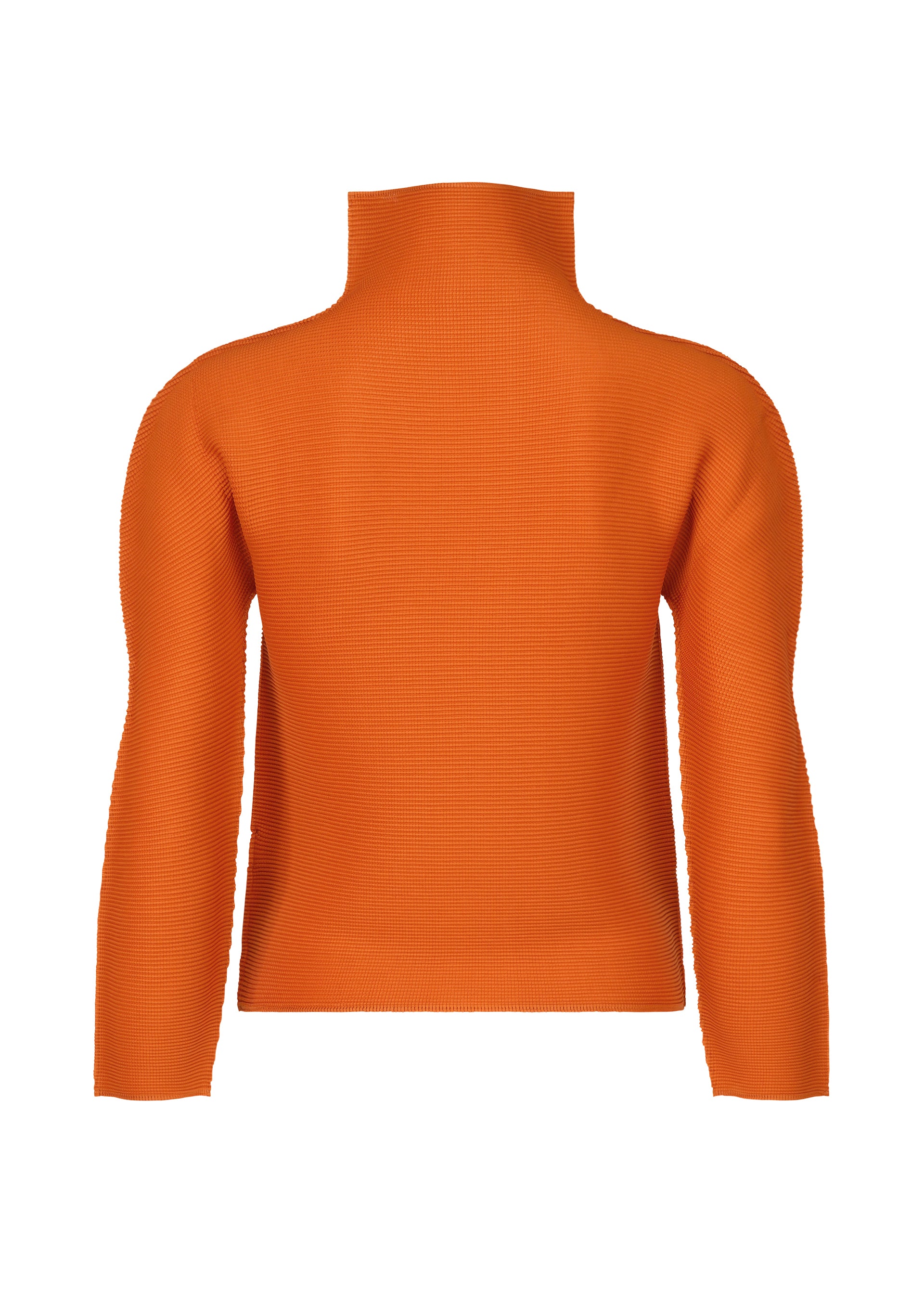 STRETCH PLEATS 6、ウィメンズ_トップス_トップ、ディテール画像1