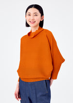 DOLMAN STRETCH PLEATS 3、ウィメンズ_トップス_トップ、着用画像1