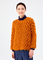 SHAGGY PLEATS、ウィメンズ_トップス_トップ、着用画像1