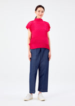 ZIG ZAG PLEATS、ウィメンズ_トップス_トップ、着用画像3