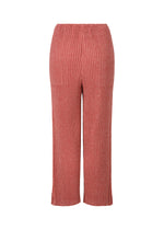 CORDUROY PLEATS、ウィメンズ_パンツ、ディテール画像1