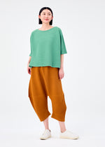 FUWA FUWA MESH PLEATS、ウィメンズ_トップス_トップ、着用画像3
