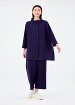 WARM PLEATS、ウィメンズ_トップス_カーディガン、着用画像3