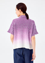 GRADATION GINGHAM CHECK CAULIFLOWER、ウィメンズ_トップス_トップ、着用画像2