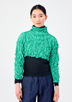 MERINGUE TOP、ウィメンズ_トップス_トップ、着用画像1