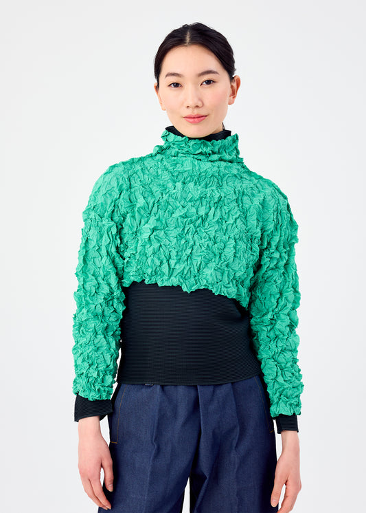 MERINGUE TOP、ウィメンズ_トップス_トップ、着用画像1