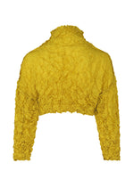MERINGUE TOP、ウィメンズ_トップス_トップ、ディテール画像1