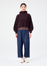 ROUND PLEATS、ウィメンズ_トップス_トップ、着用画像3