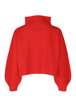 ROUND PLEATS、ウィメンズ_トップス_トップ、ディテール画像1