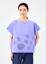 SEA GLASS PLEATS、ウィメンズ_トップス_トップ、着用画像1
