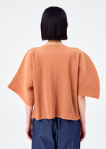 CURVE  PLEATS、ウィメンズ_トップス_トップ、着用画像2