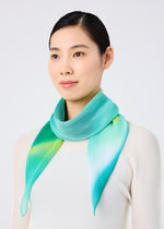 AURORA PLEATS STOLE、アクセサリー&その他_ストール、着用画像1