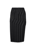 ZIG ZAG PLEATS、ウィメンズ_スカート、ブラック