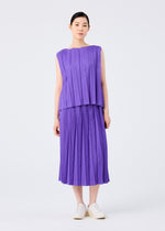 CROSS PLEATS、ウィメンズ_スカート、着用画像1