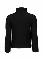 STRETCH PLEATS、ウィメンズ_トップス_トップ、ディテール画像1