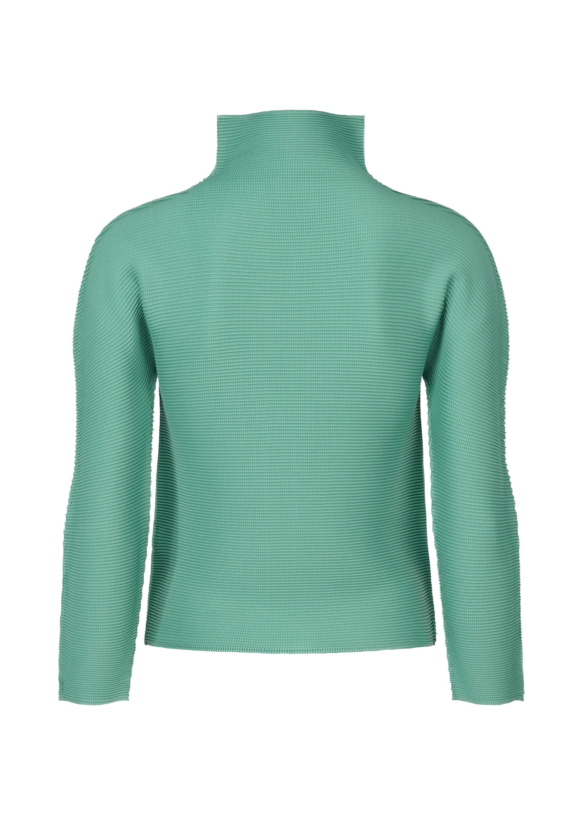 STRETCH PLEATS 2、ウィメンズ_トップス_トップ、ディテール画像1