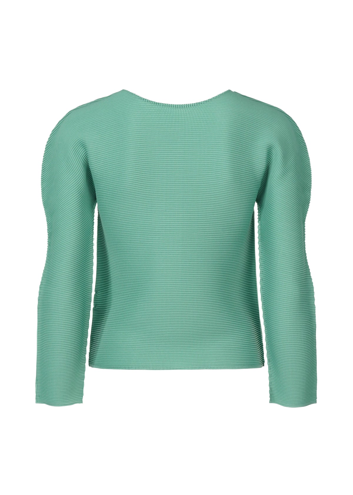 STRETCH PLEATS 2、ウィメンズ_トップス_トップ、ディテール画像1