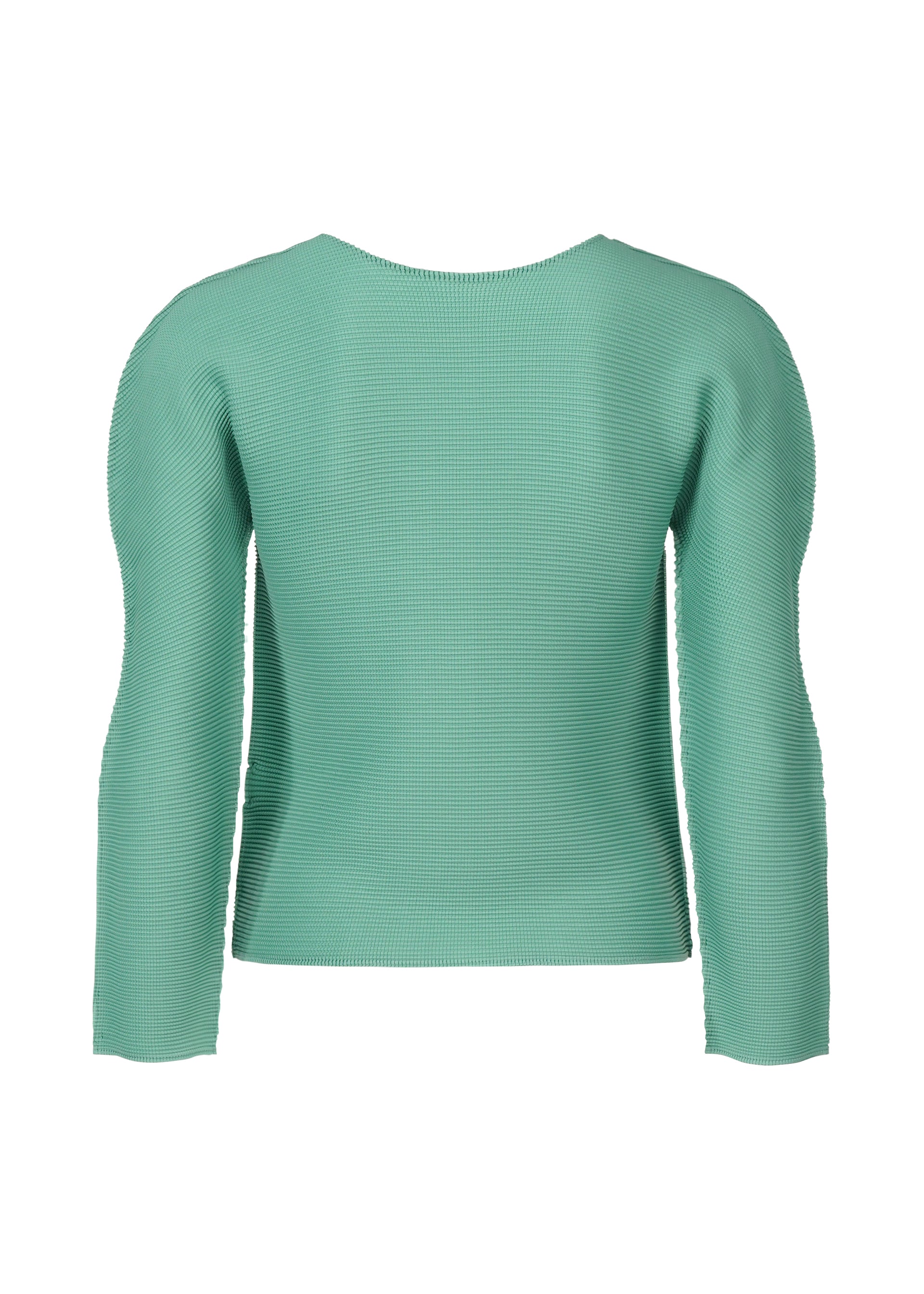 STRETCH PLEATS 2、ウィメンズ_トップス_トップ、ディテール画像1