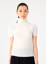 STRETCH PLEATS、ウィメンズ_トップス_トップ、着用画像1