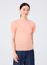 STRETCH PLEATS 4、ウィメンズ_トップス_トップ、着用画像1