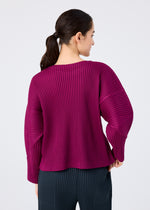 WARM MESH PLEATS、ウィメンズ_トップス_トップ、着用画像2