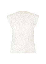 MERINGUE TOP