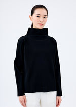 FINE KNIT PLEATS BLACK、ウィメンズ_トップス_トップ、着用画像1