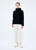 FINE KNIT PLEATS BLACK、ウィメンズ_トップス_トップ、着用画像3