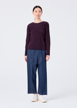 FINE KNIT PLEATS COLOR 1、ウィメンズ_トップス_トップ、着用画像3
