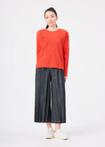 DENIM PLEATS BOTTOM、ウィメンズ_パンツ、着用画像1