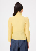 STRETCH PLEATS 4、ウィメンズ_トップス_トップ、着用画像2
