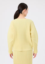 CORDUROY PLEATS、ウィメンズ_トップス_トップ、着用画像2