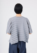 ACCORDION SEE-THROUGH CREPE、ウィメンズ_トップス_トップ、着用画像2