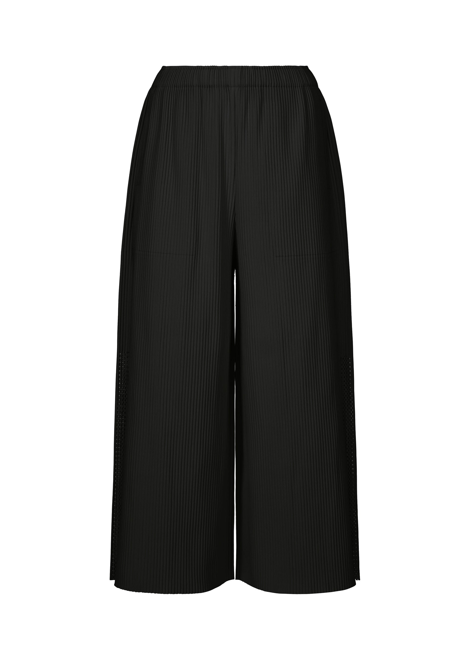 MESH PLEATS、ウィメンズ_パンツ、ブラック