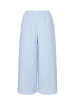 MESH PLEATS、ウィメンズ_パンツ、ブルー