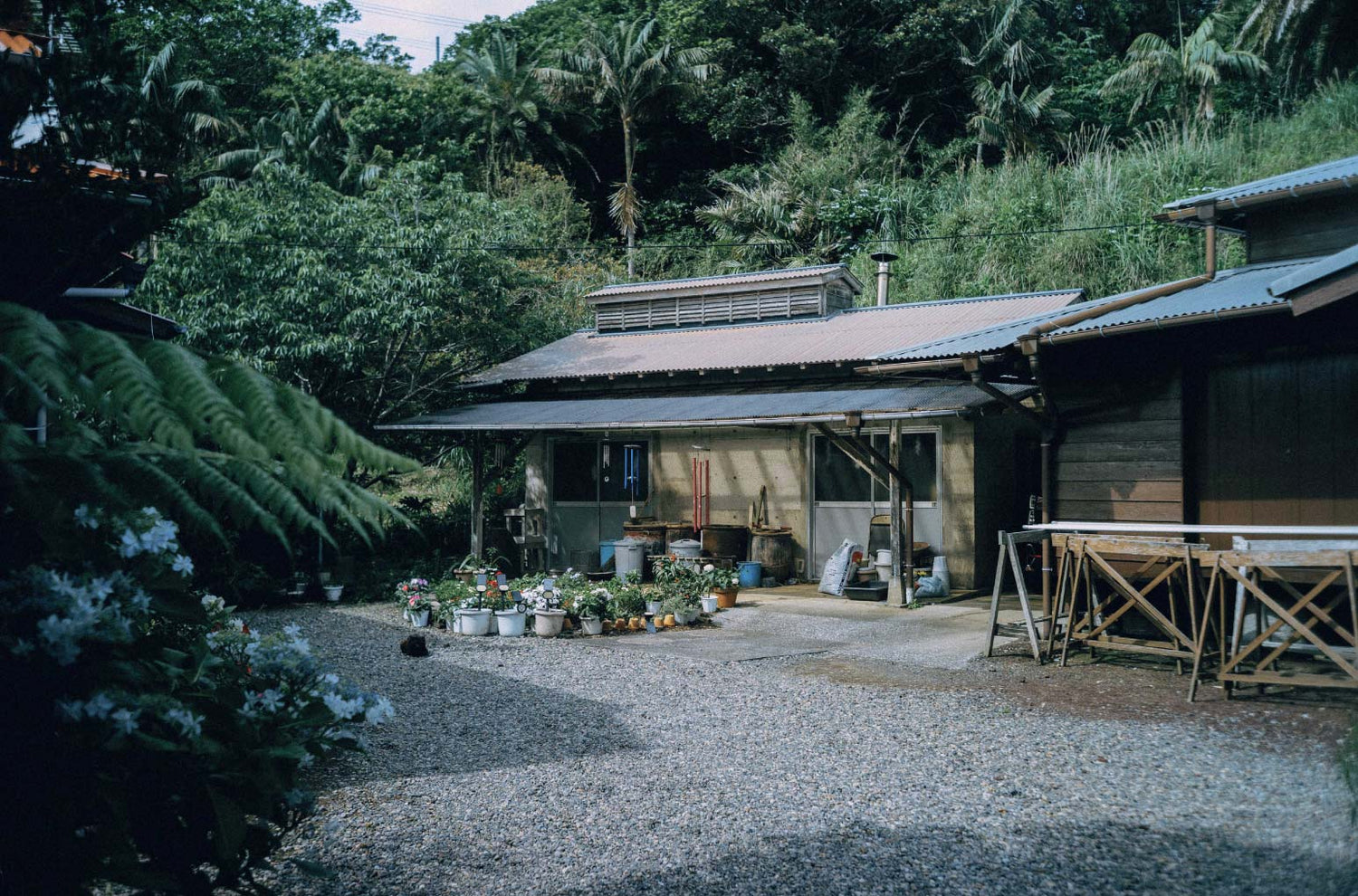 第3回　島へ