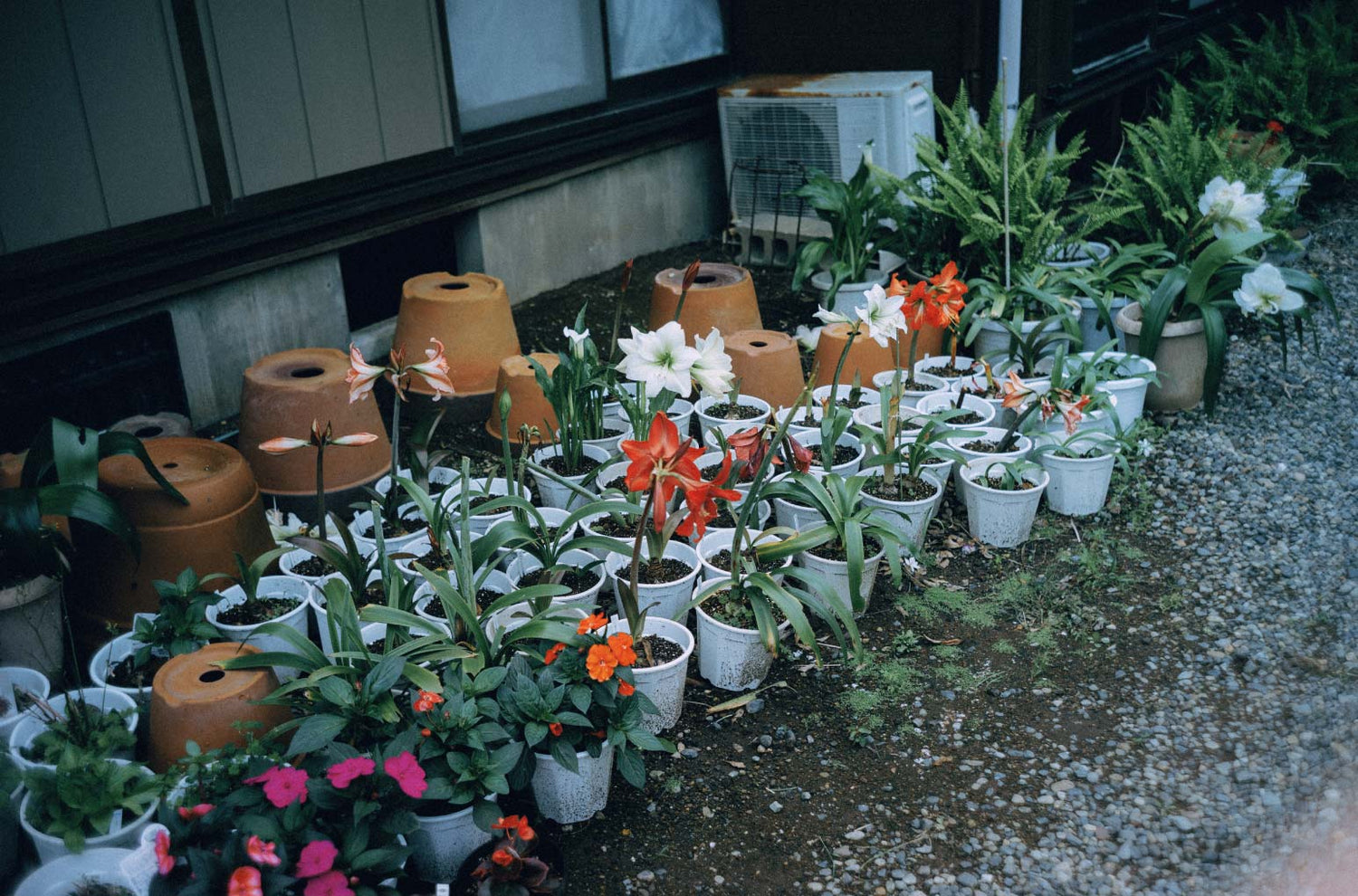 第3回　島へ