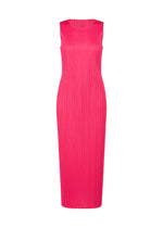 NEW COLORFUL BASICS 5