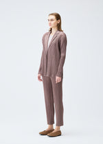 PLEATS JACKET、ウィメンズ_ジャケット&コート_ジャケット＆ブルゾン、着用画像2