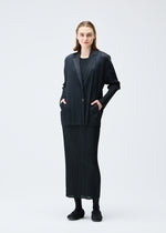 PLEATS JACKET、ウィメンズ_ジャケット&コート_ジャケット＆ブルゾン、着用画像4