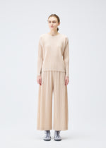 WOOL PLEATS、ウィメンズ_トップス_トップ、着用画像1