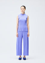 MELLOW PLEATS、ウィメンズ_トップス_トップ、着用画像1