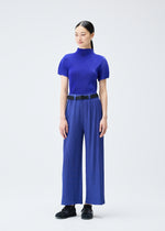 PLEATS BELT、アクセサリー&その他_アクセサリー、着用画像1